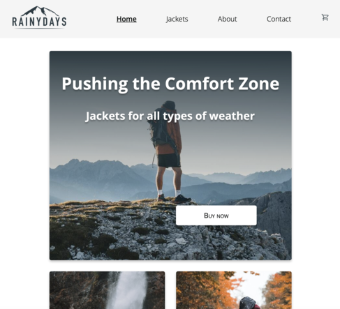 Picture of the home page of Rainy days web shop.